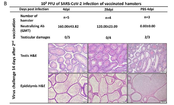 cp蛋蛋28预测99加拿大：✅加拿大CP蛋蛋28未来走势全新解读？